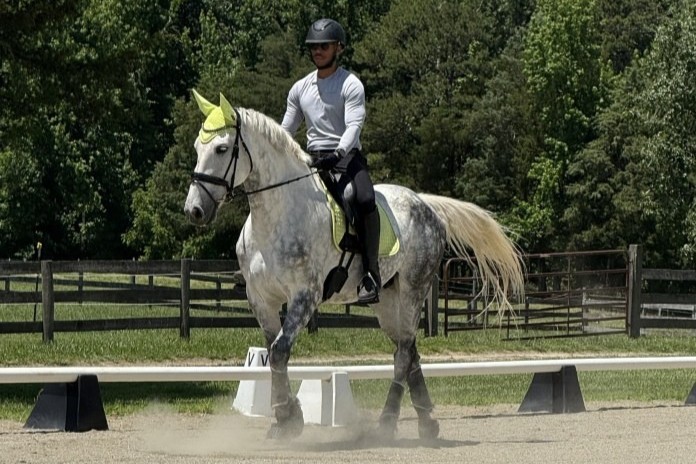 United - Congratulations to the winners of the 2022 USDF Arts Contest ...