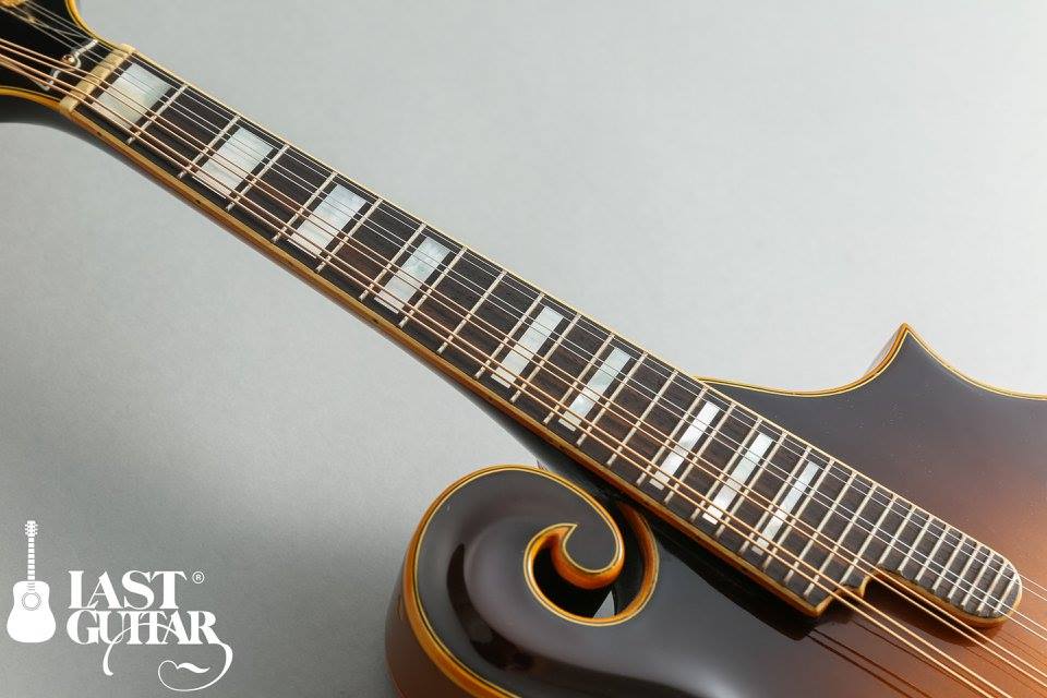 Fujigen製 Blue Bell A-6 フラットマンドリン ハードケース付 Fujigen