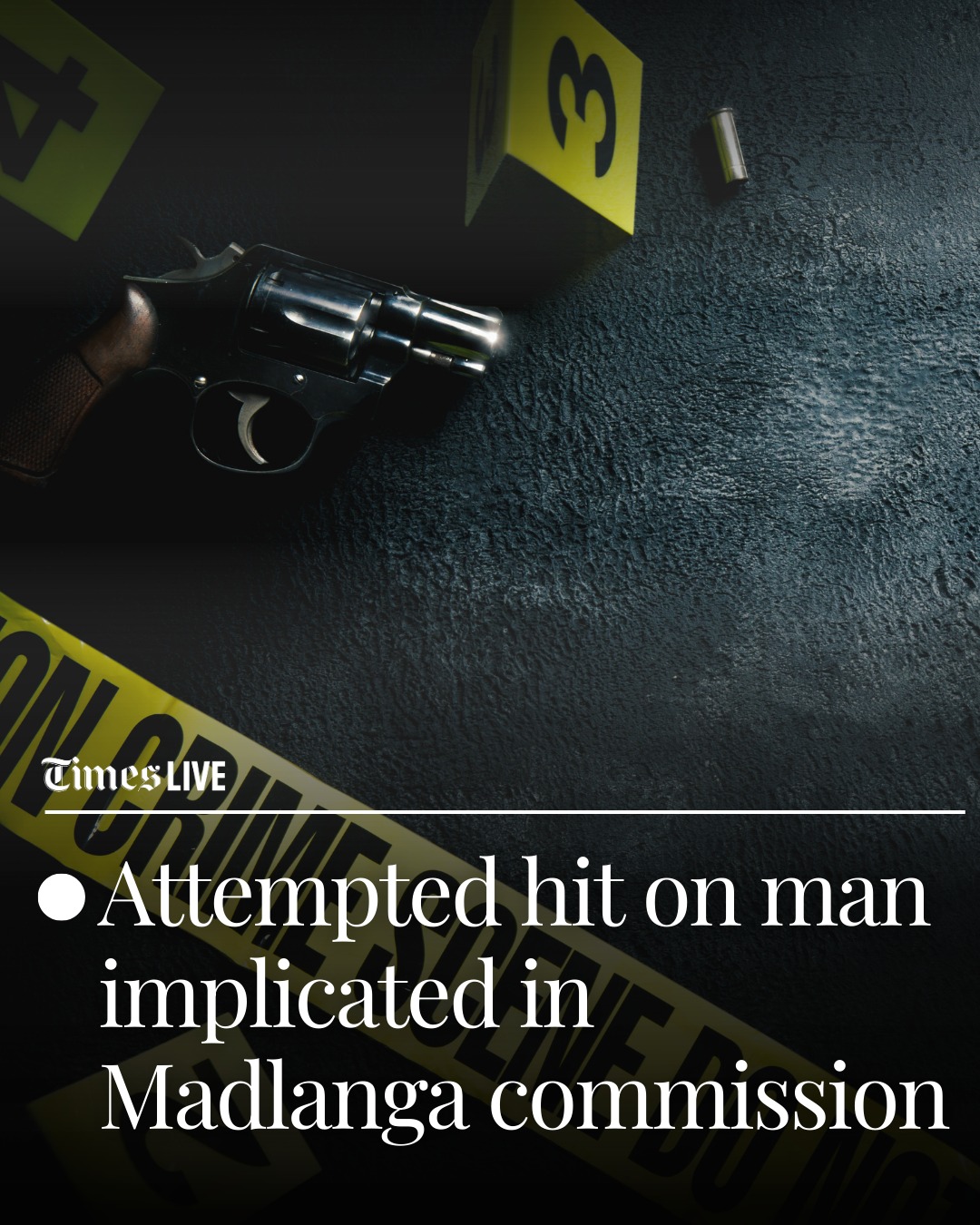 Times LIVE - A man implicated by a witness at the Madlanga... | Facebook