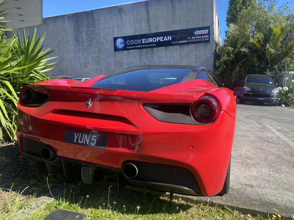 Cook European Ltd. | Auckland