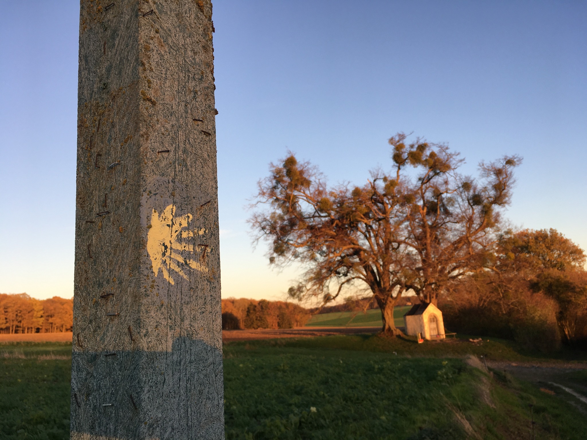 Chemin Saint Jacques de Compostelle (Camino de Santiago)