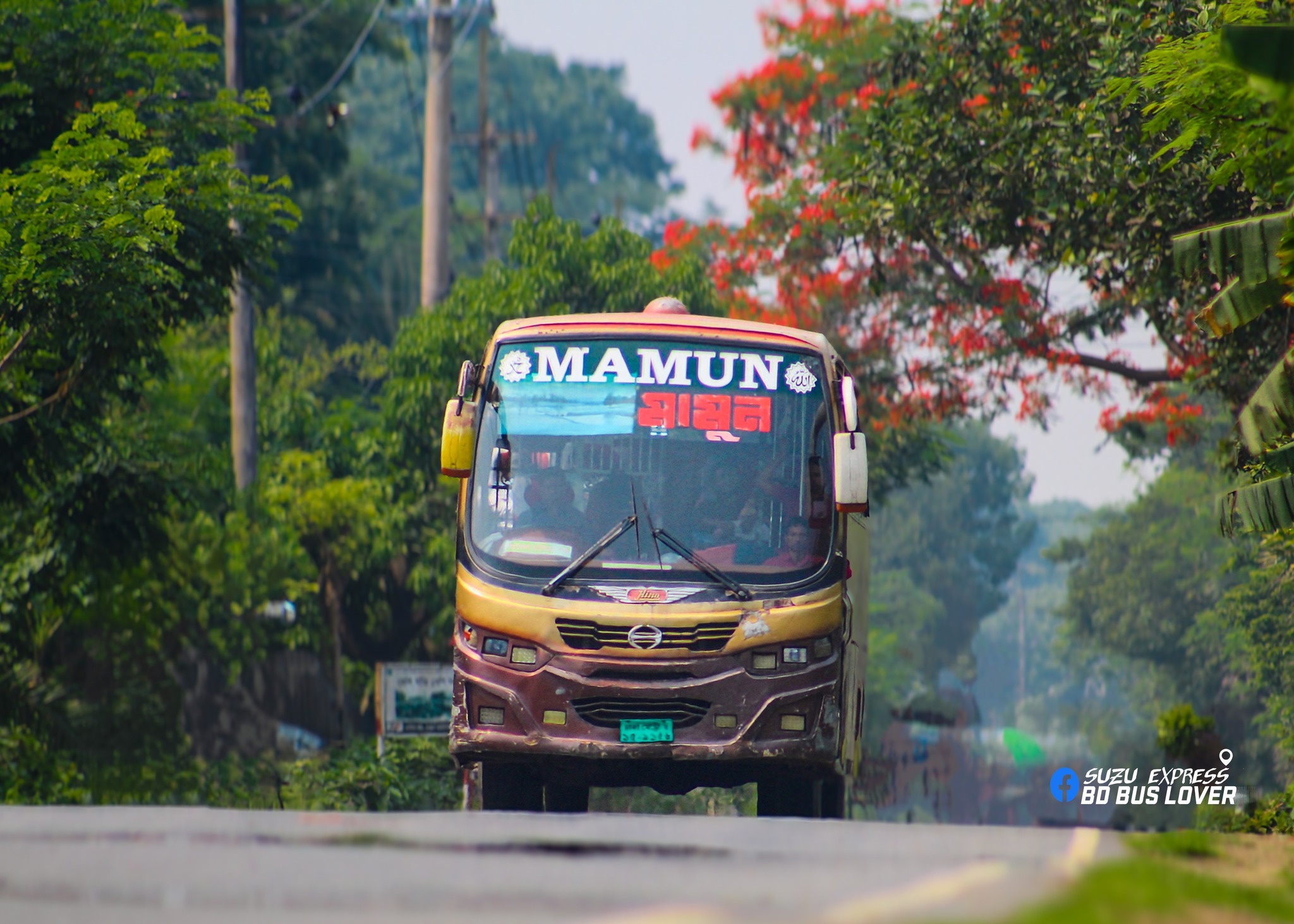 Mamun Enterprise | Dhaka