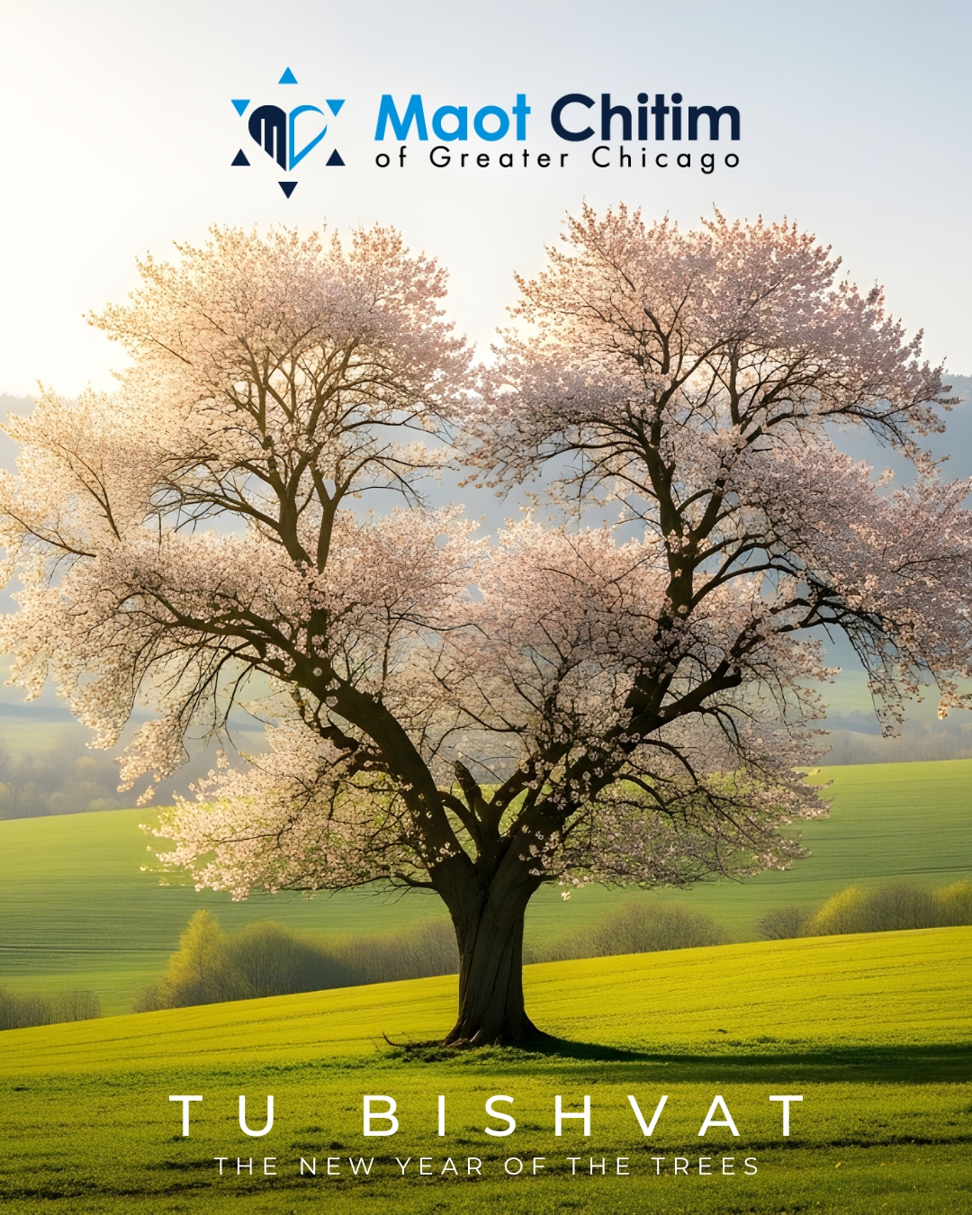 Maot Chitim - 🌳 Tu BiShvat - Nourishing Our Roots,... | Facebook