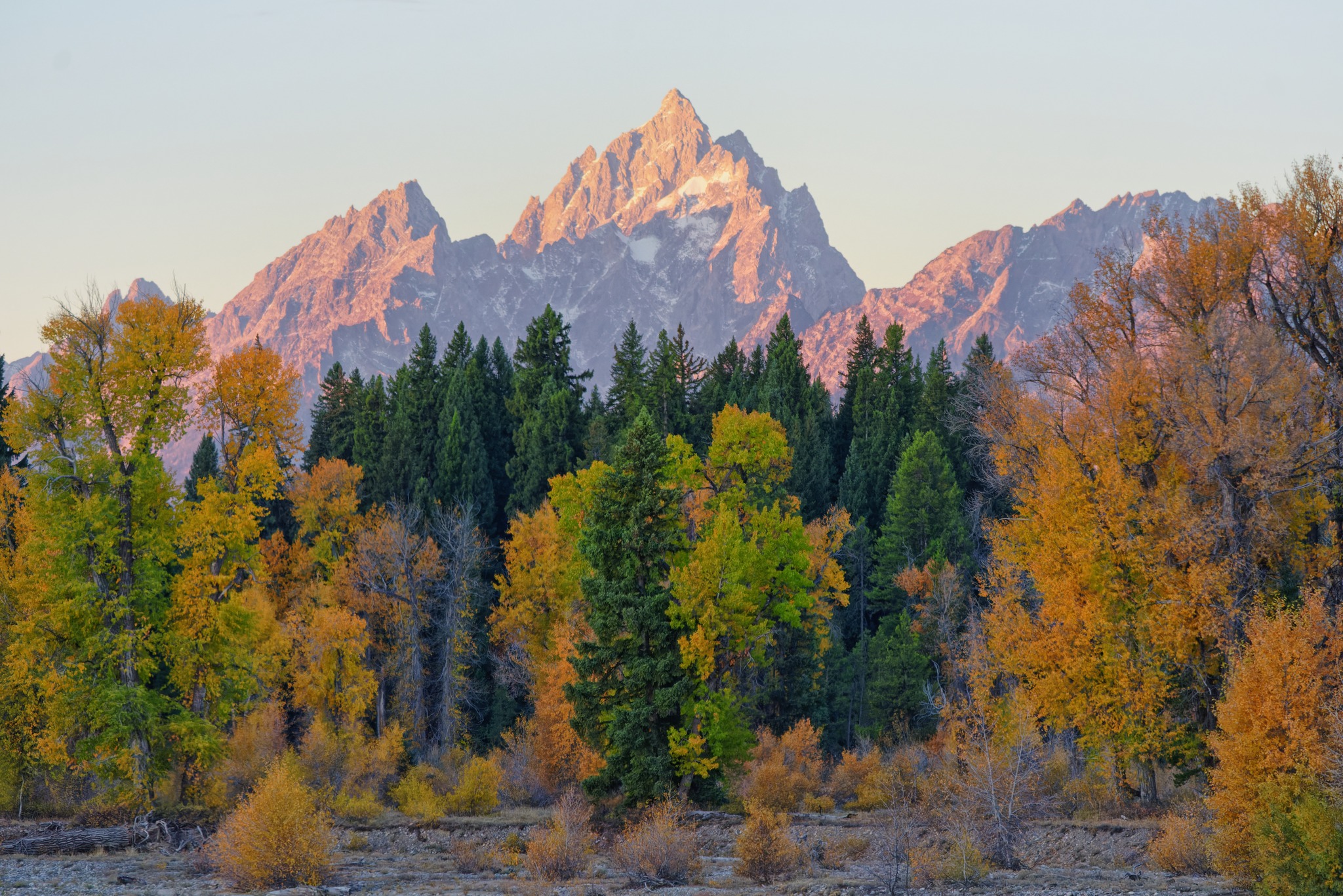 Montana - Good Morning !!😊 Fall colors in the early morning light with ...