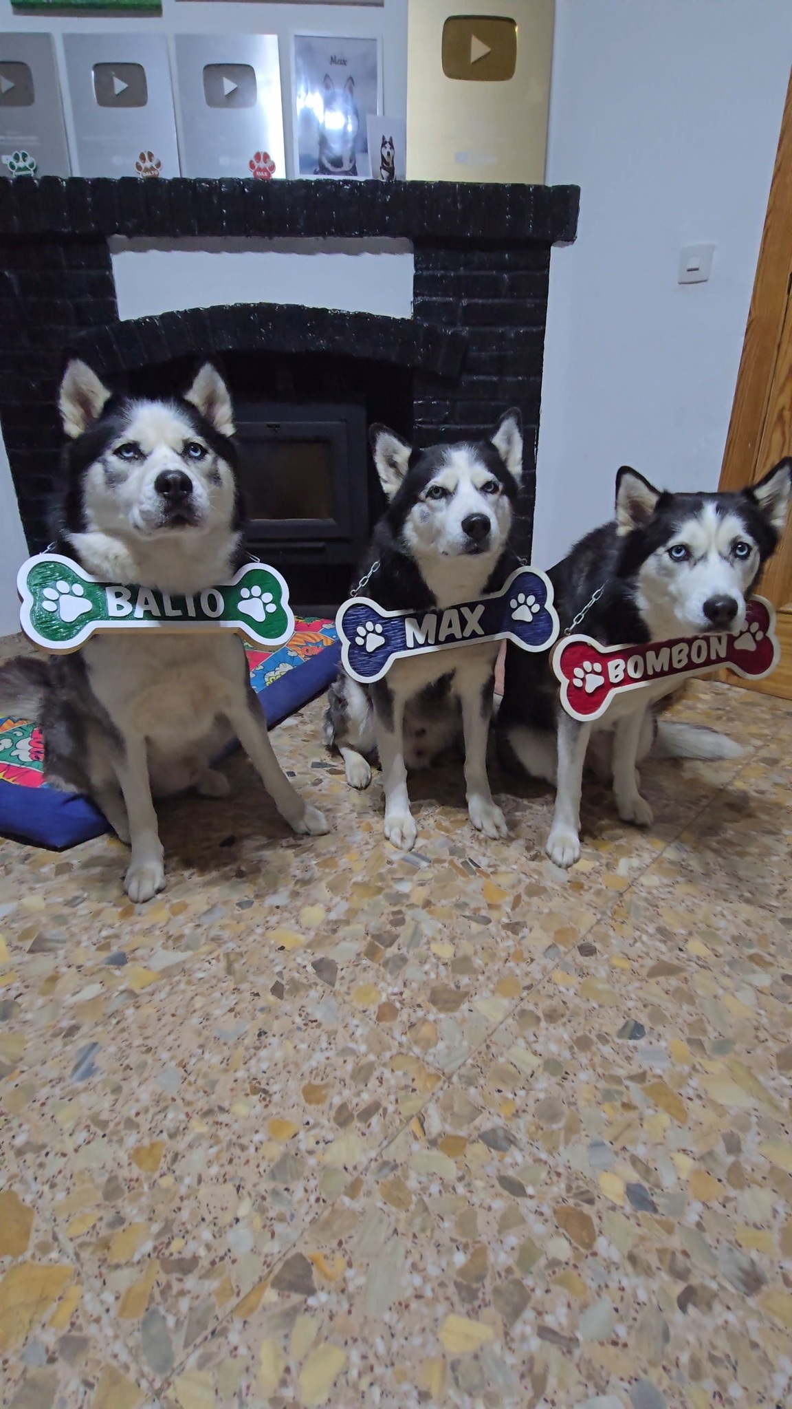 El Rincón de los Peludos: Max, Balto, Bombón y ...🐾🐶 | ¡Hola a todos ...