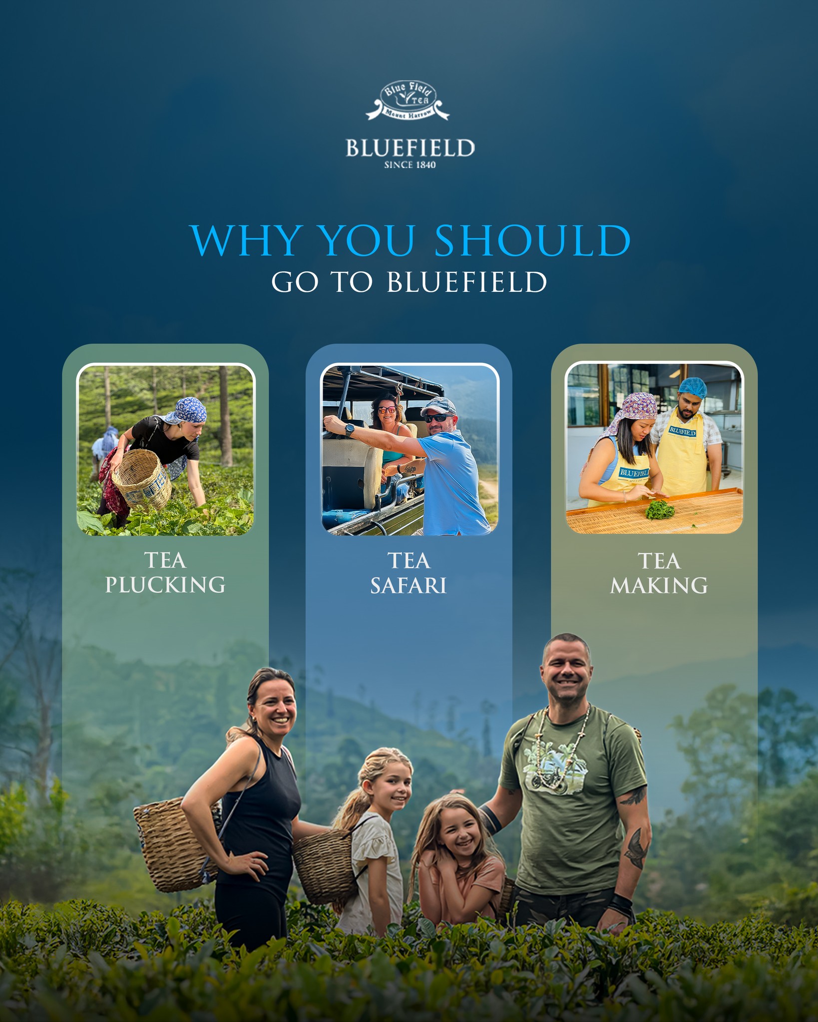 Bluefield Tea Gardens | Nuwara Eliya