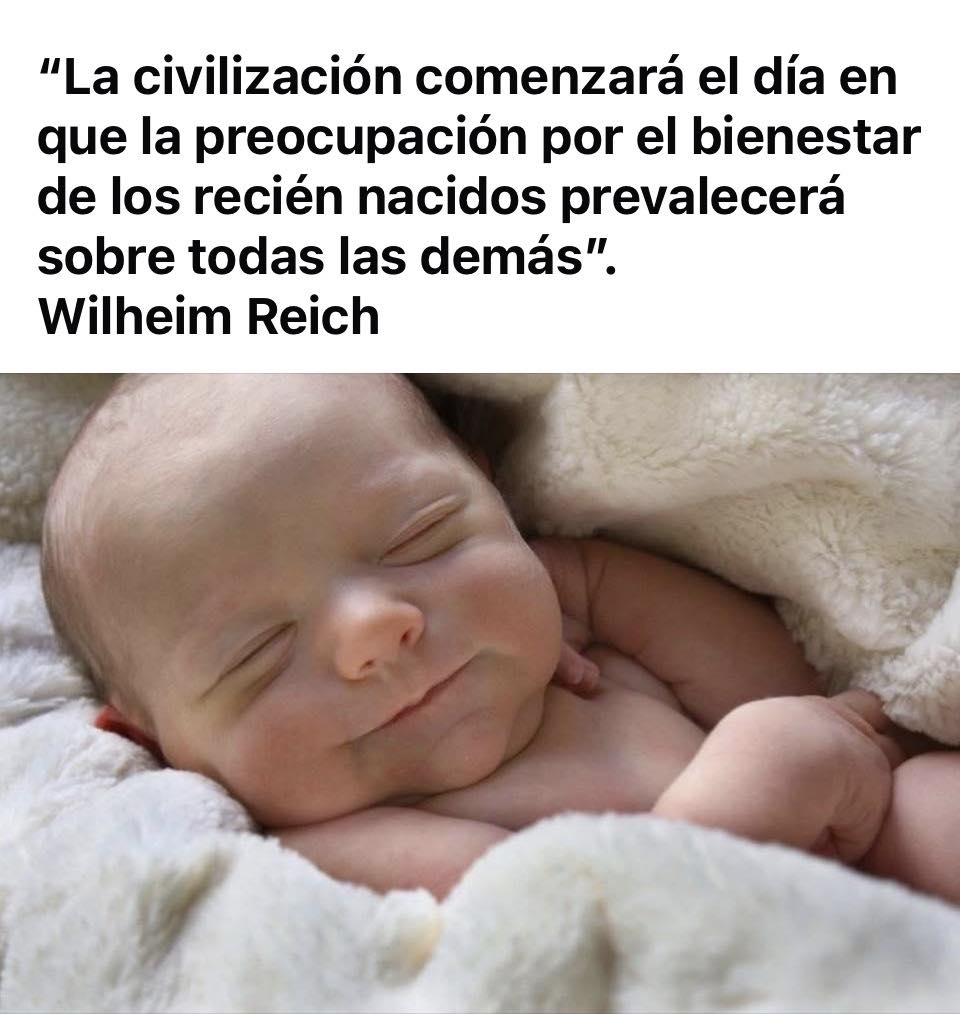 La Revolución del Cuidado: La Sublevación de la Feminidad contra la ...