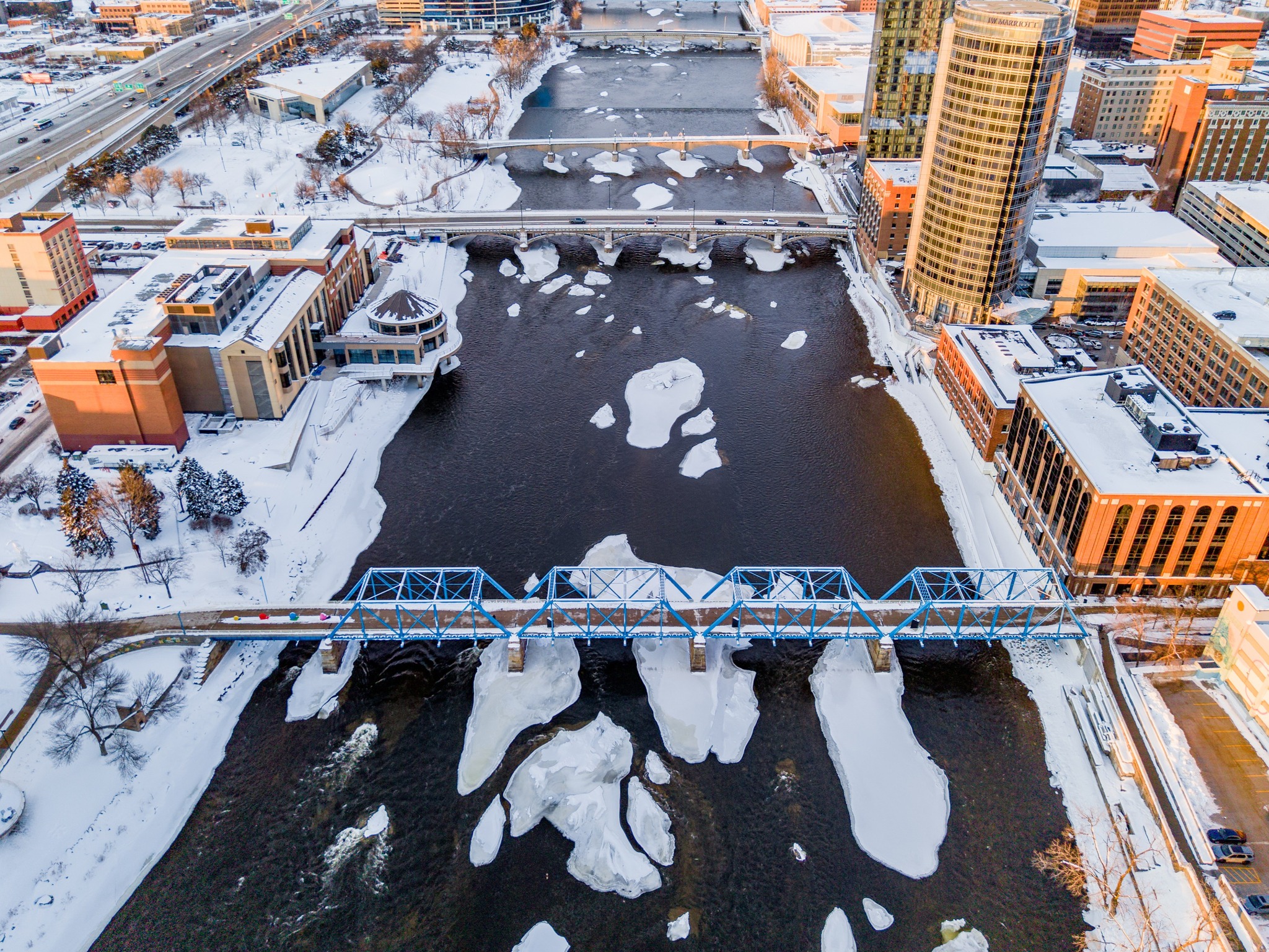 Rooted Connections | Grand Rapids MI