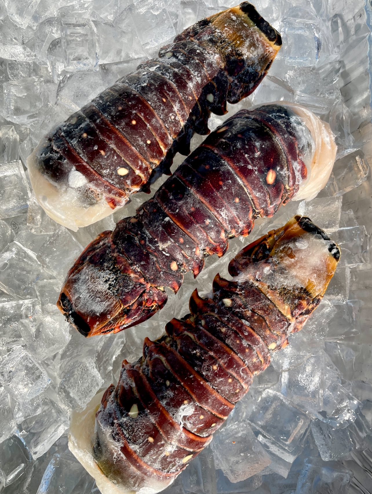 Modesto Fish Company | Denair CA