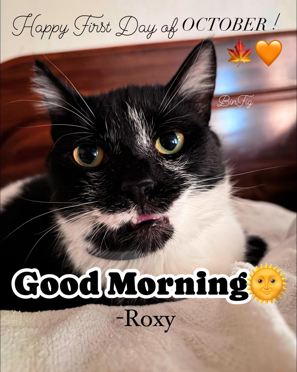 BinFig - “Good morning everyone! 🌞Happy first day of October! 🧡🌸🍁 ...