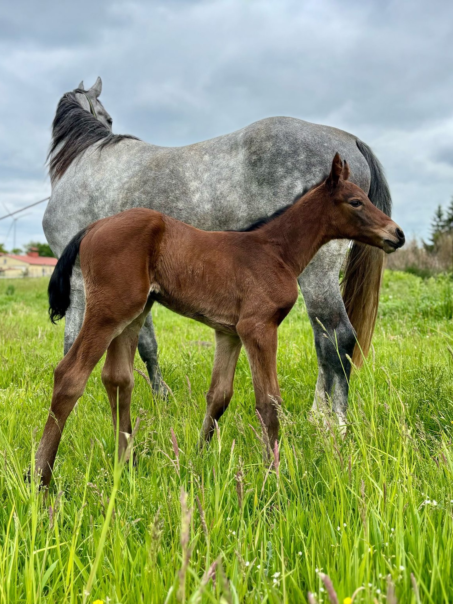 💫 Just a few days old — but already full of presence. This