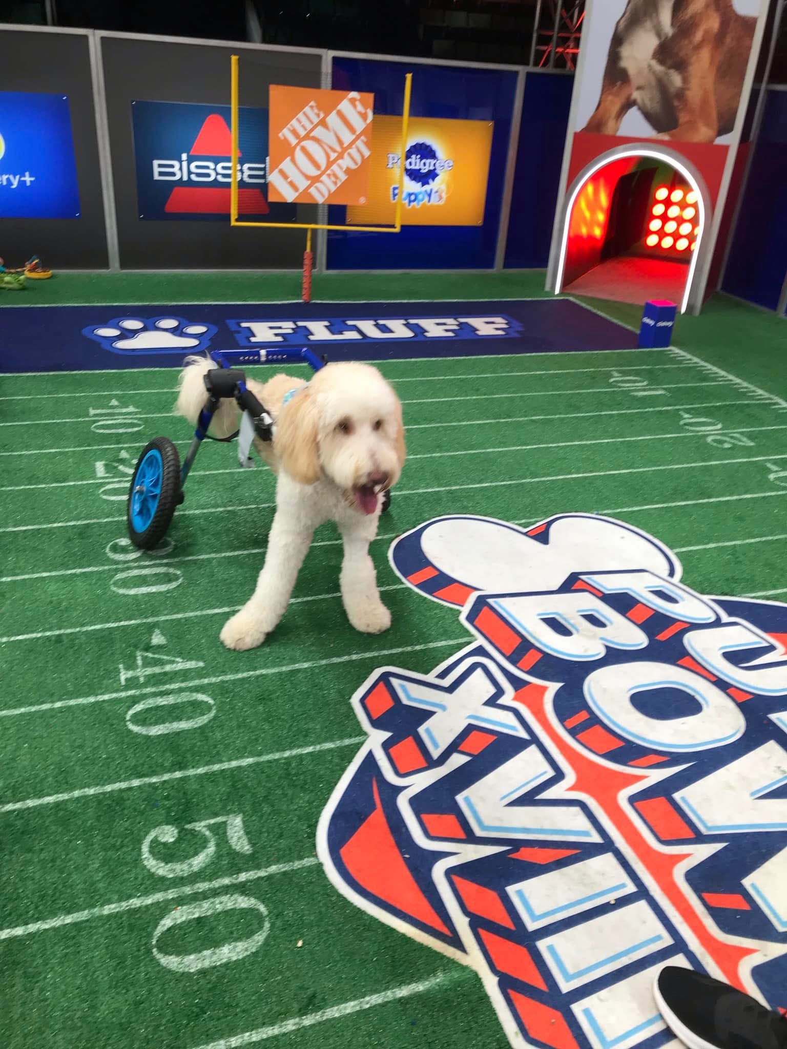 The Tucker Farm - Flash back to when Benny was on the... | Facebook