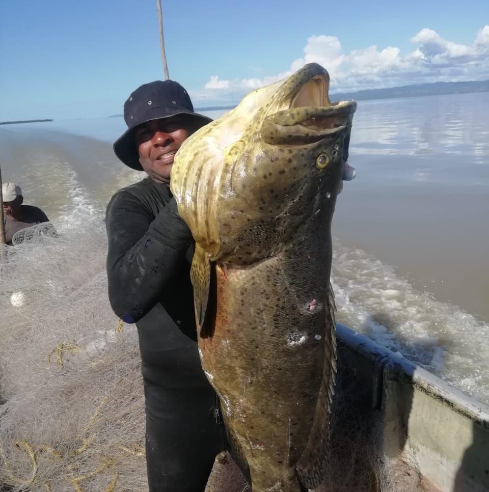 Cali_Fish