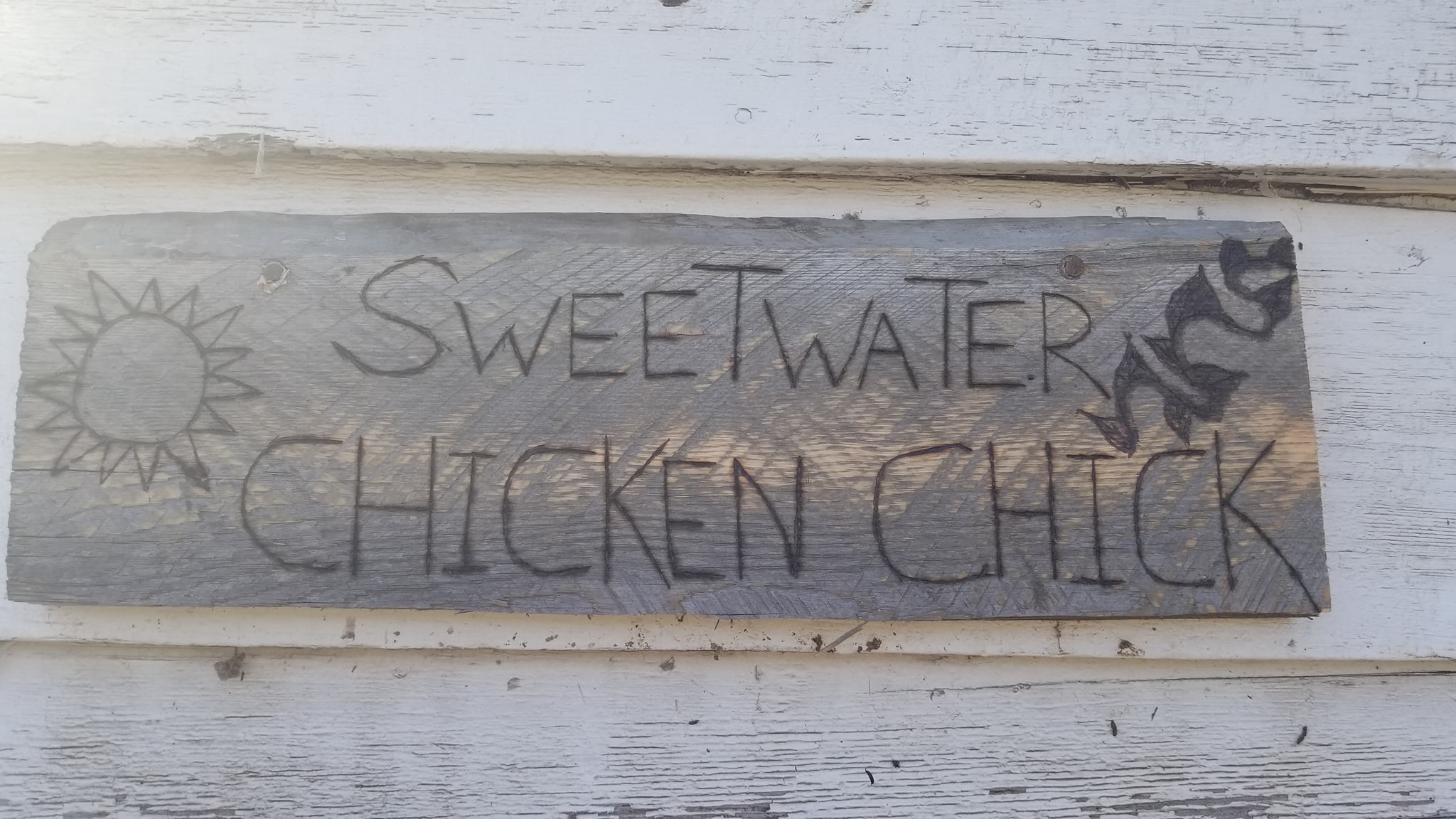 Chicks R Us Magnolia... - Chicks R Us Magnolia Hatchery