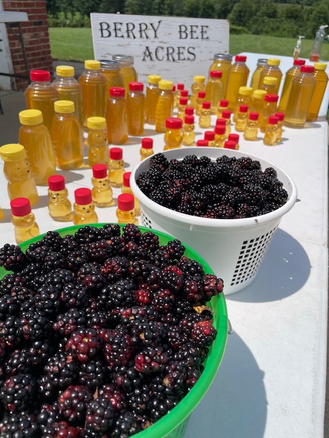 Berry Bee Acres | Simpsonville KY