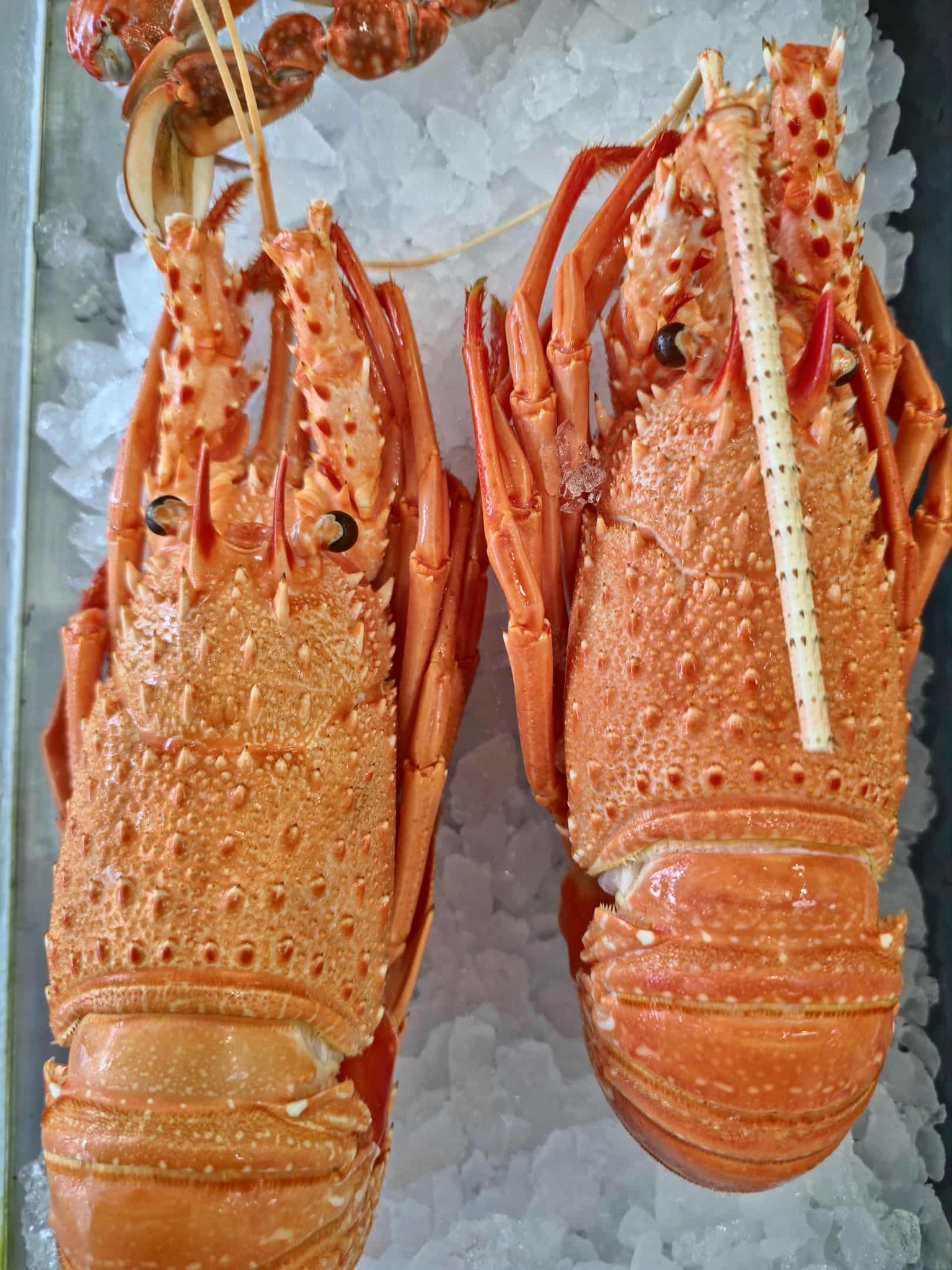 Molly's Seafoods Singleton... - Molly's Seafoods Singleton