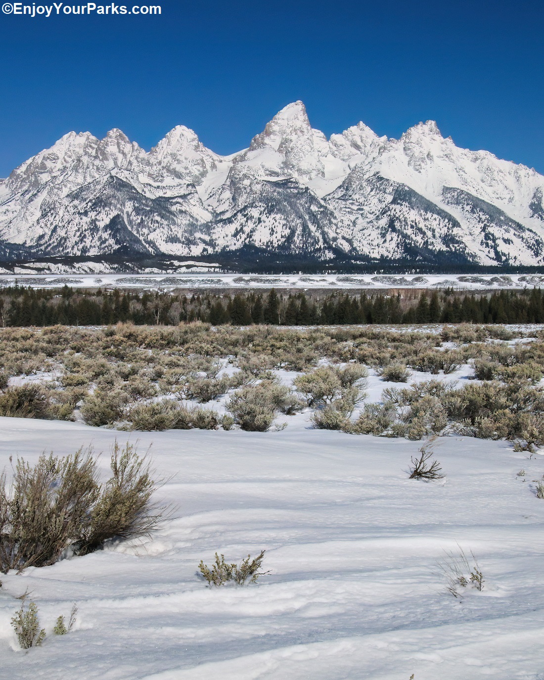 冬景色　Teton winter WINTER IN GRAND TETON N.P. We snapped this shot on a crystal clear