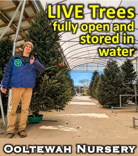 Ooltewah Nursery Landscape Co Inc