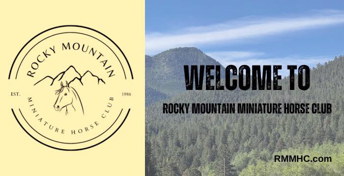 Miniature Horses: Rocky Mountain Miniature Horse Club | Our New Website ...