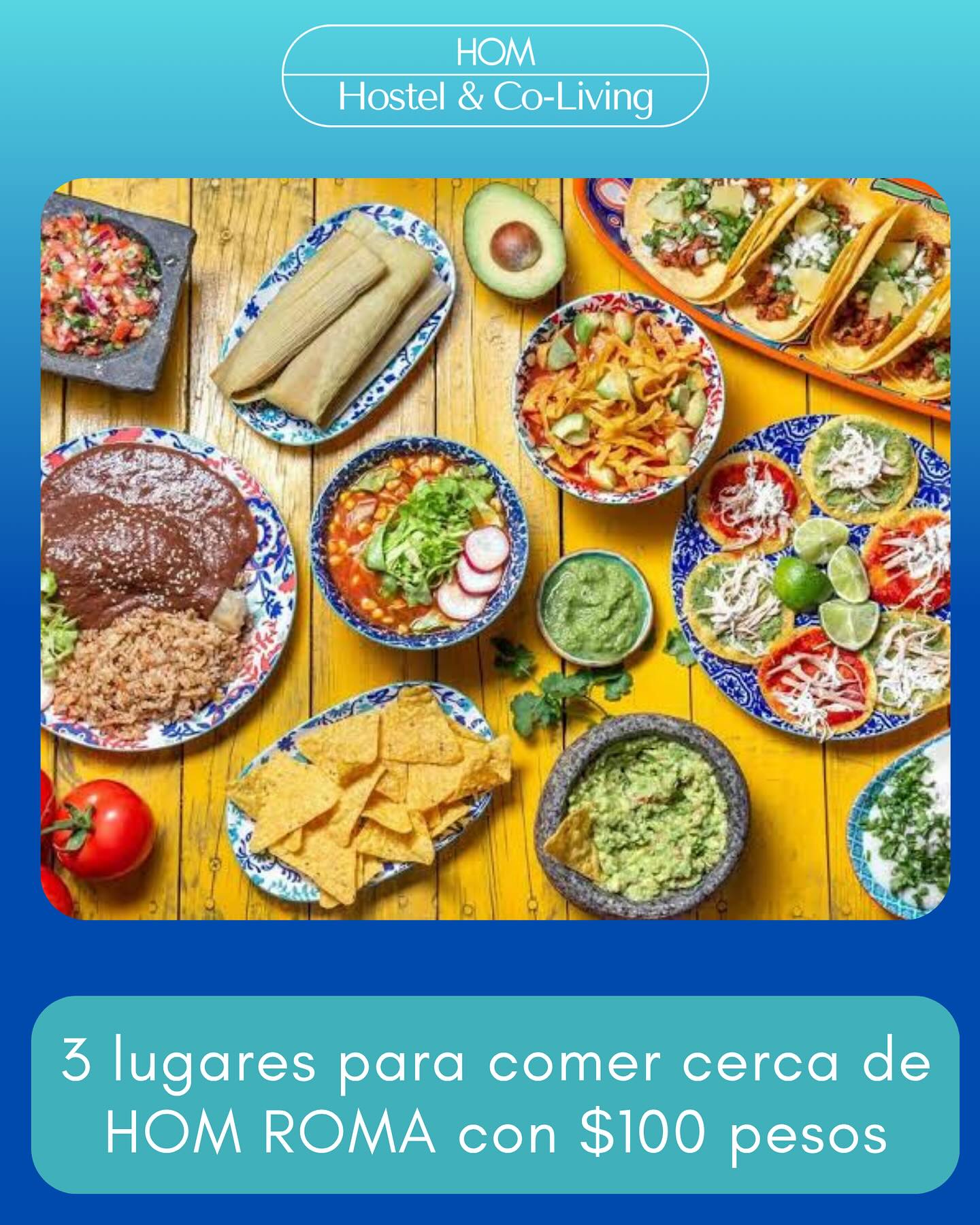 ¡Descubre el sabor de la ciudad... - HOM Hostel & co-living | Facebook