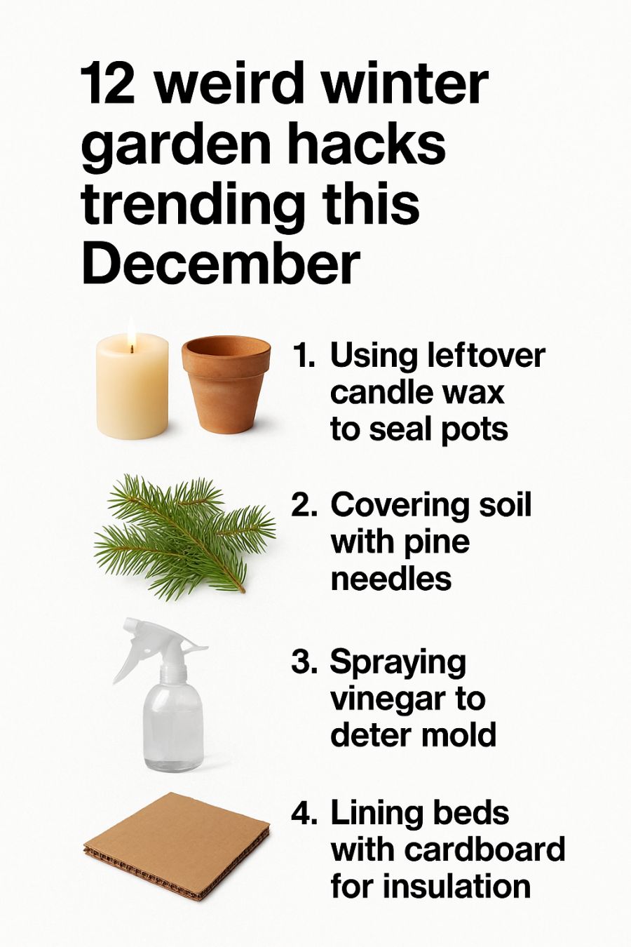 Gardening - 12 weird winter garden hacks trending this december. Full ...