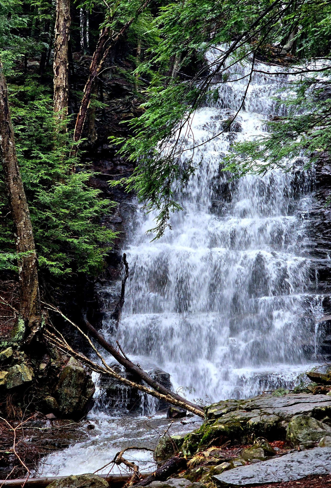 Pennsylvania Photography with Uncovering PA | With all the rain the ...