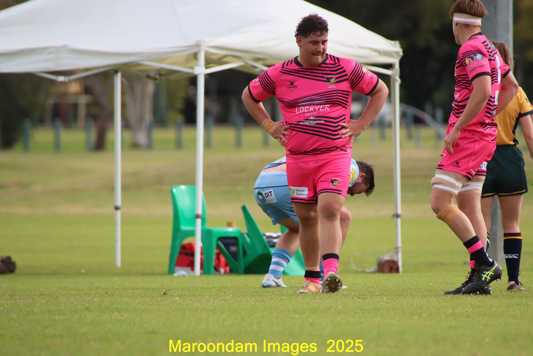Maroondam Images & MDI... - Maroondam Images & MDI Framing