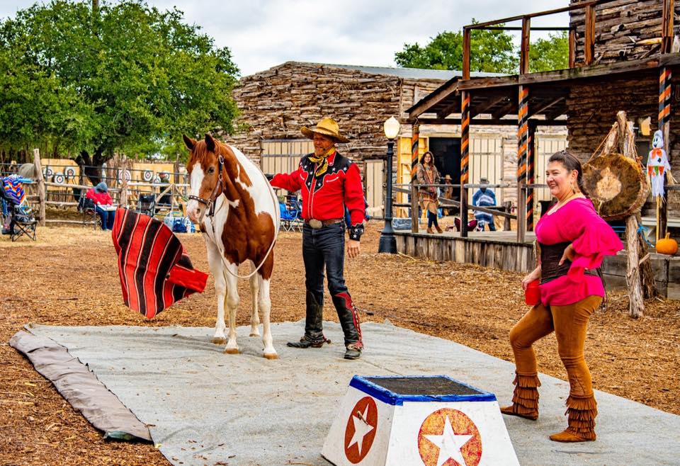 The Rhinestone Roper Show