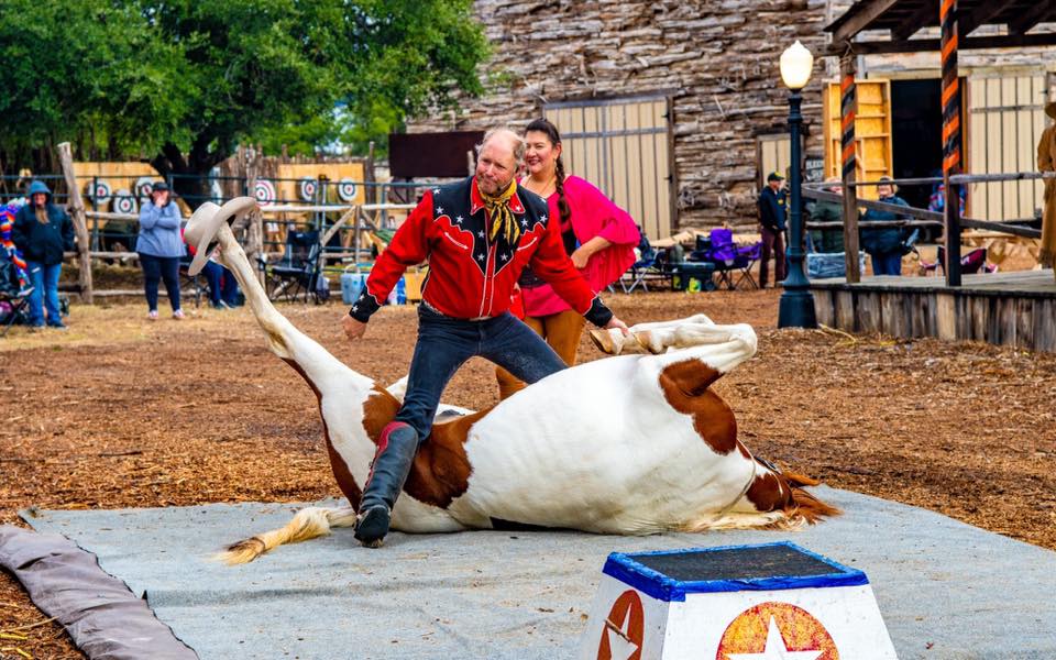 The Rhinestone Roper Show