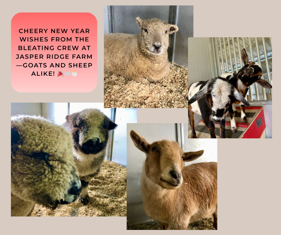 Jasper Ridge Farm added a new photo. - Jasper Ridge Farm