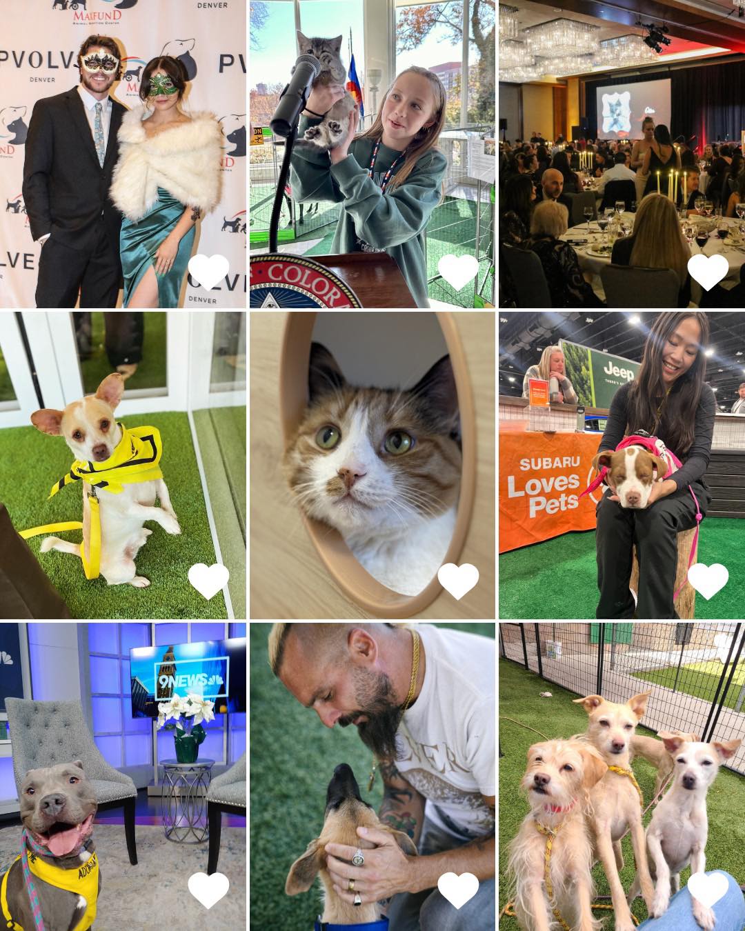 MaxFun... - MaxFund No-Kill Animal Shelter and Adoption Center