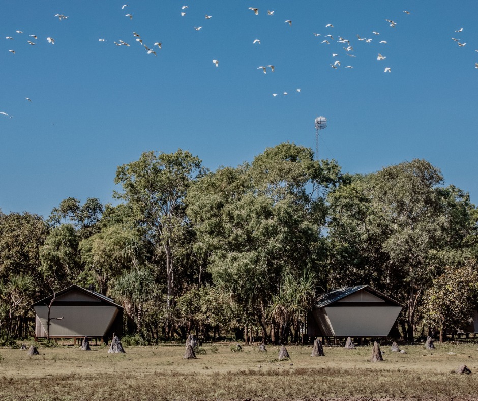 Freedom... - Freedom Destinations - The Australia Experts