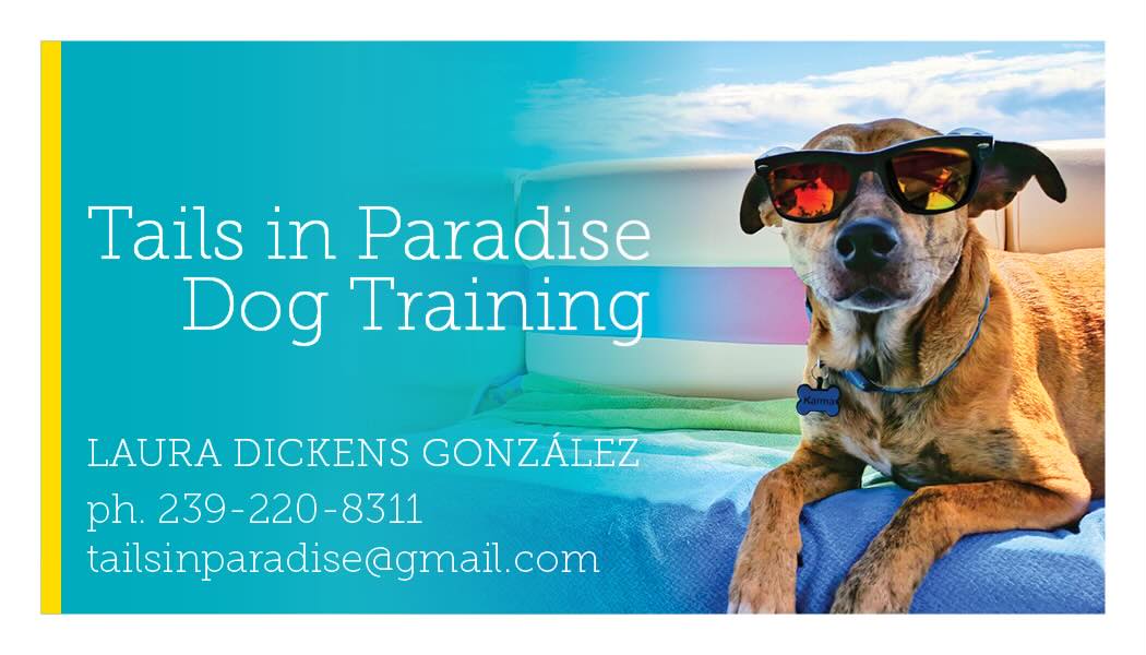 Tails In Paradise Dog Training | Cape Coral FL