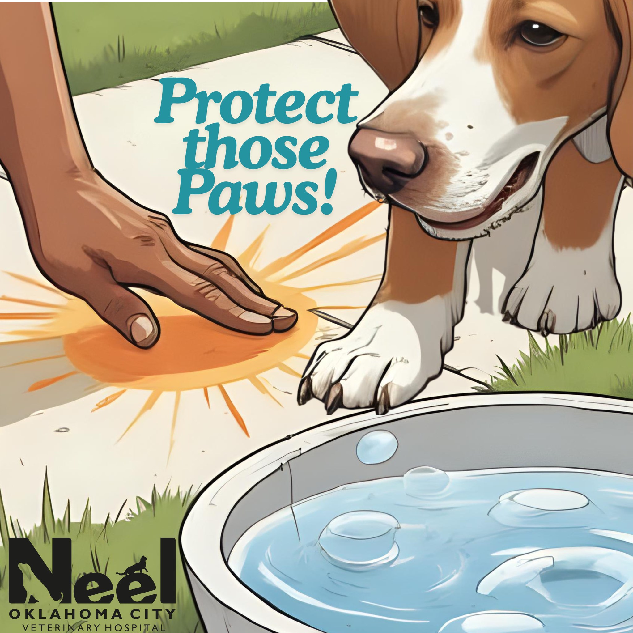 Neel - 🔥 Paw Pad Protection Tip 🔥 Summer pavement can heat up fast and ...