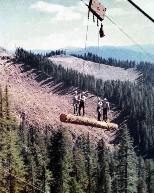 Mike - There was a time when logging meant stepping onto a log hanging ...