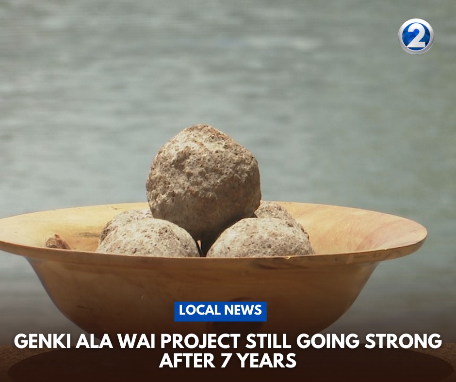 KHON2 - Discover the progress of the Genki Ala Wai Project in ...