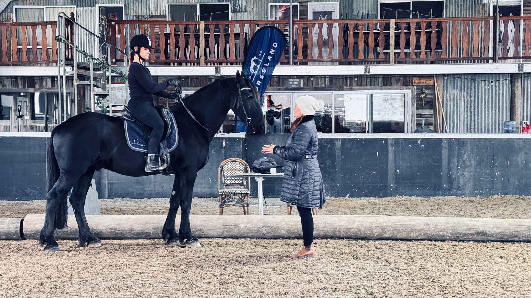 Basic Vertical Dressage Training with Nadine O'Sullivan