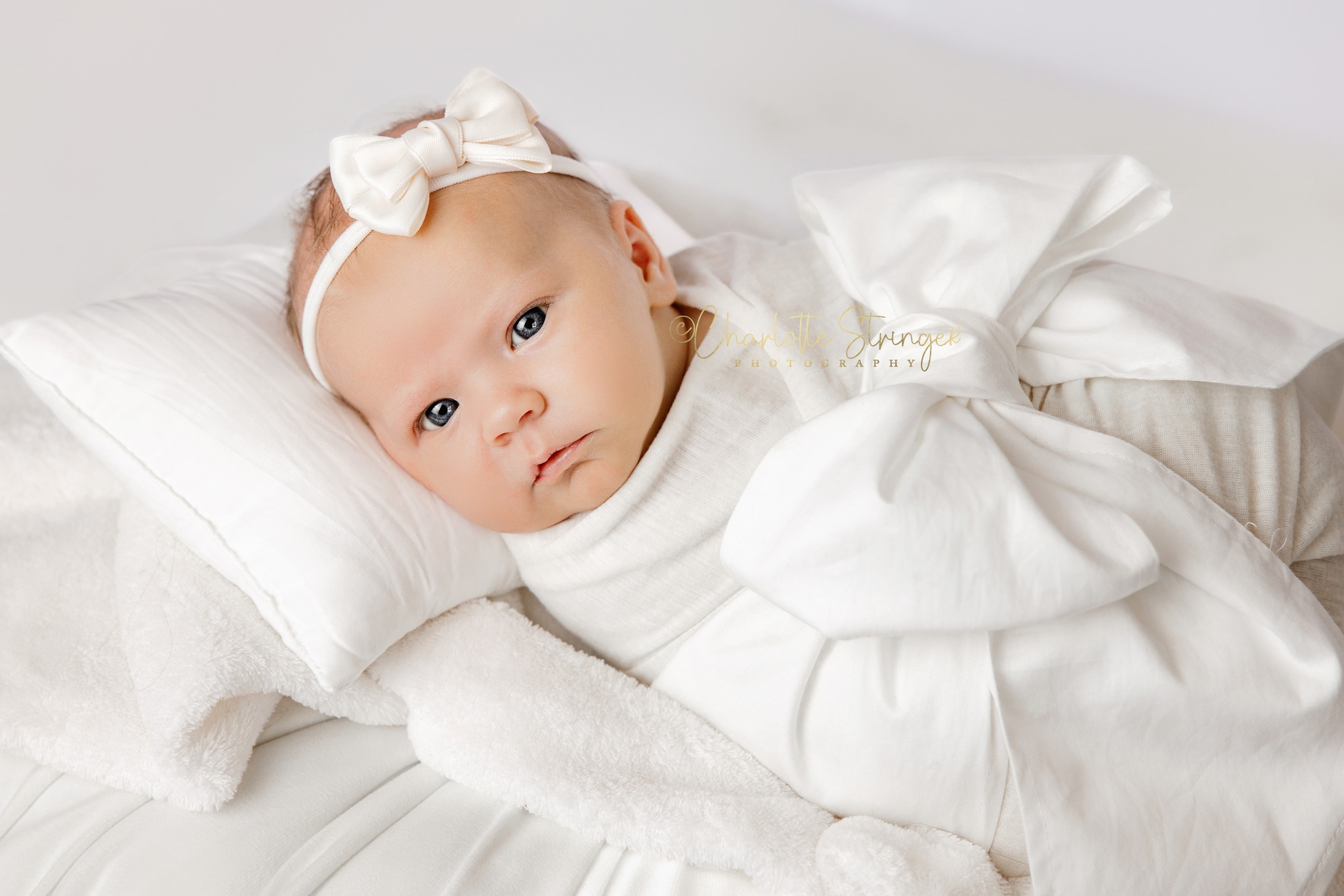Charlotte - ©Charlotte Stringer Photography 2026 meet baby girl Delta ...