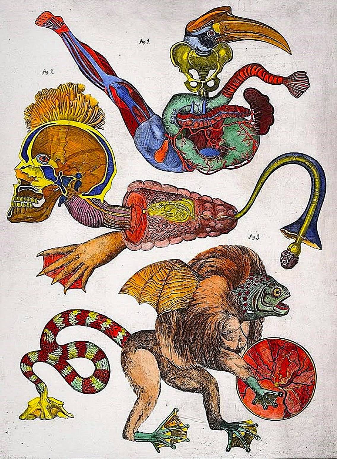 How - Jan Švankmajer - from Bilderlexicon Tab. 10 (1972) The ...