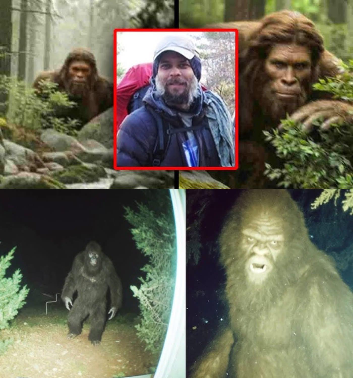 Cryptid - “I’m a Backpacker and Bigfoot Followed Me for Miles” – TRUE ...