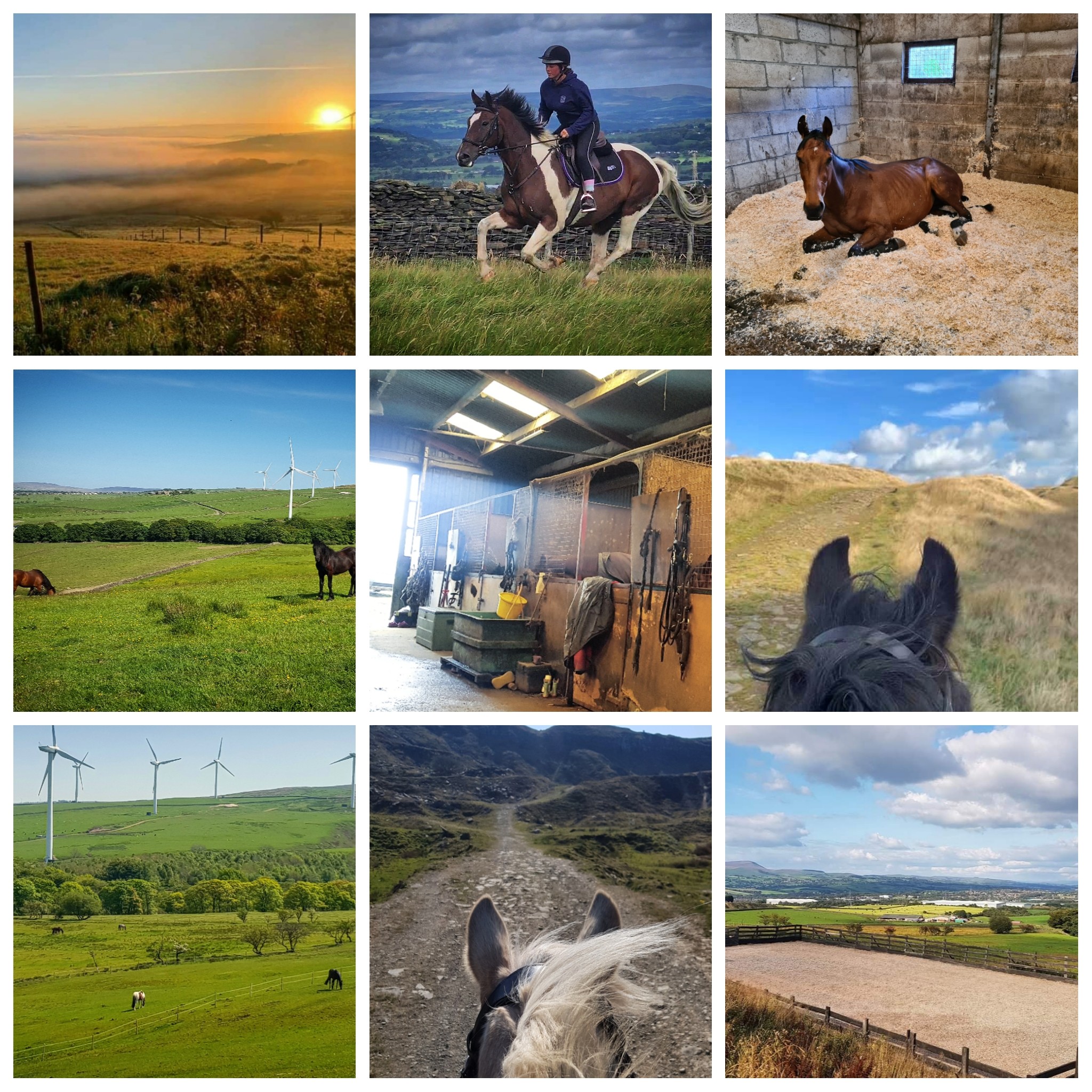 ** FILLED - THANK YOU ** One or two... - Bowley Equestrian | Facebook