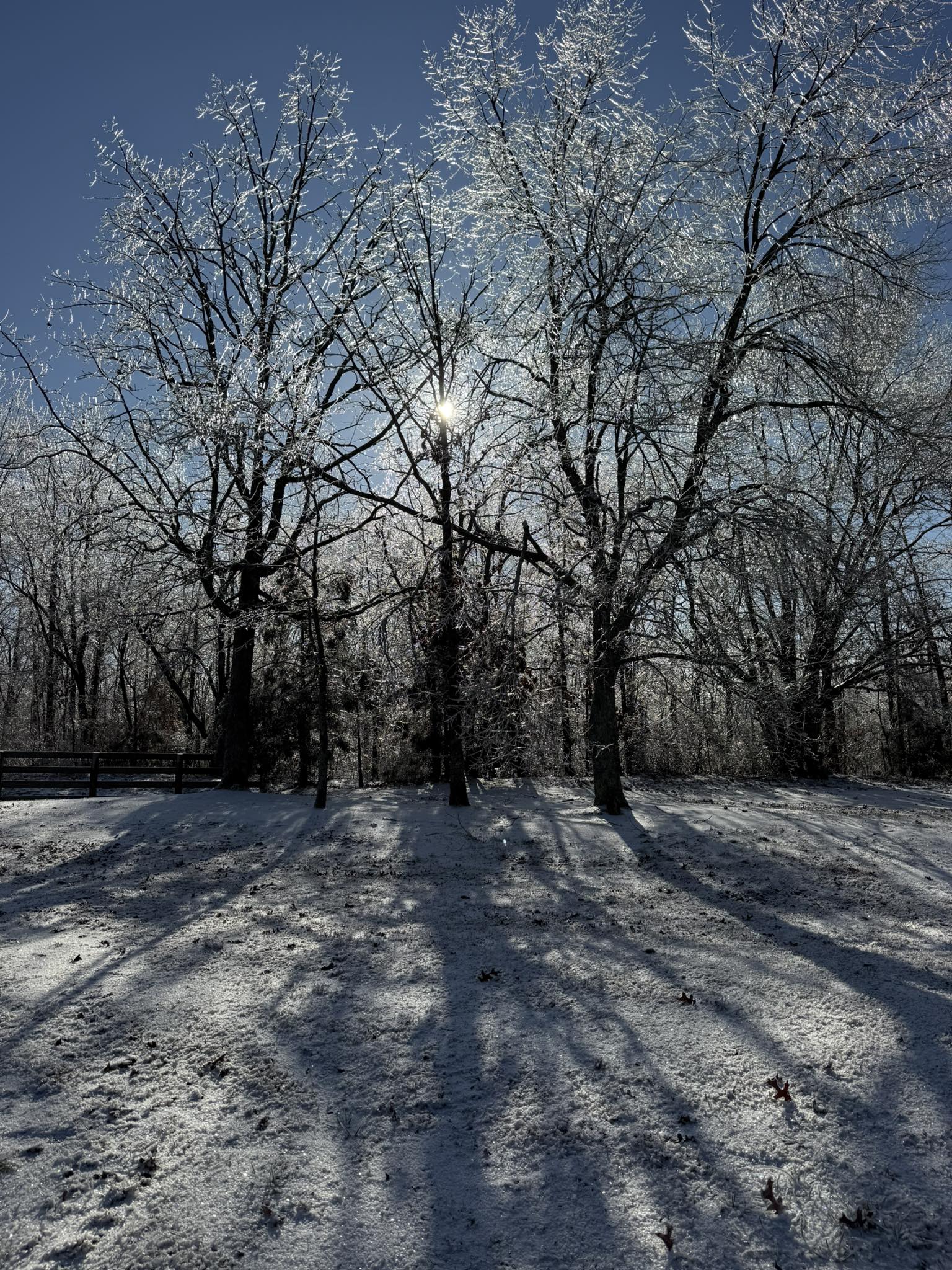 Although it is pretty it’s time to... - Clanton Ridge Farm | Facebook