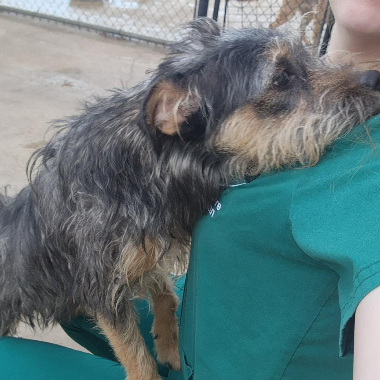 Sandy Paws Rescue Inc.