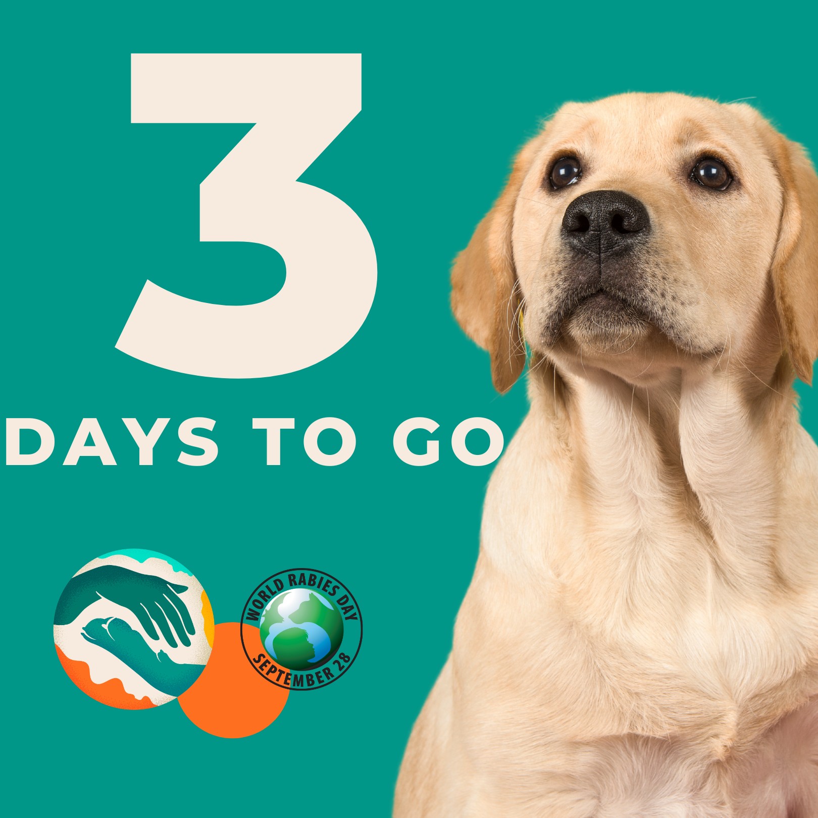 Cape - Countdown to World Rabies Day: 3 Days Left Rabies is still with ...