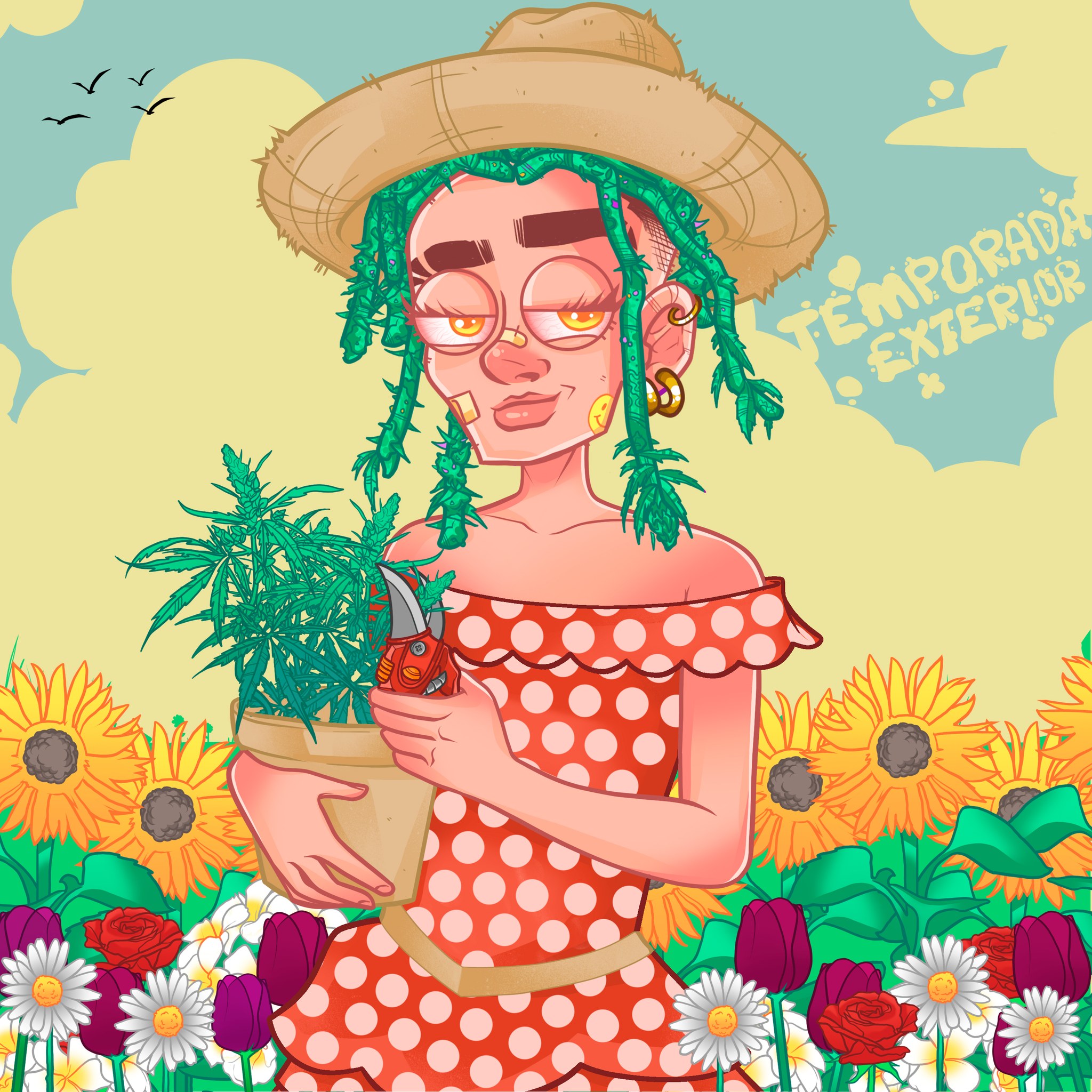 Crazy lady Seeds | Buenos Aires