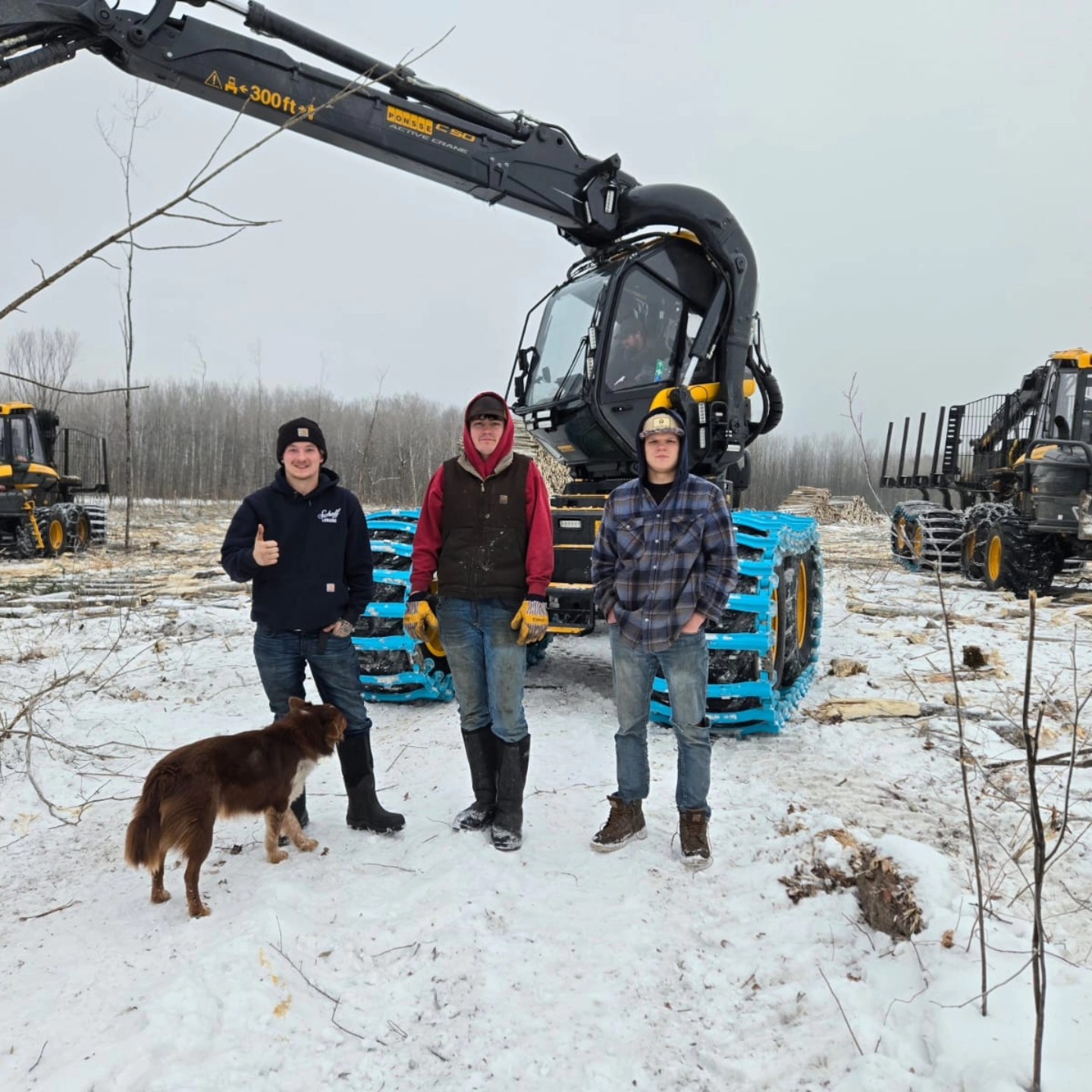 Minnesota - Throwback Thursday: Lumberjack carrying a log at camp near ...