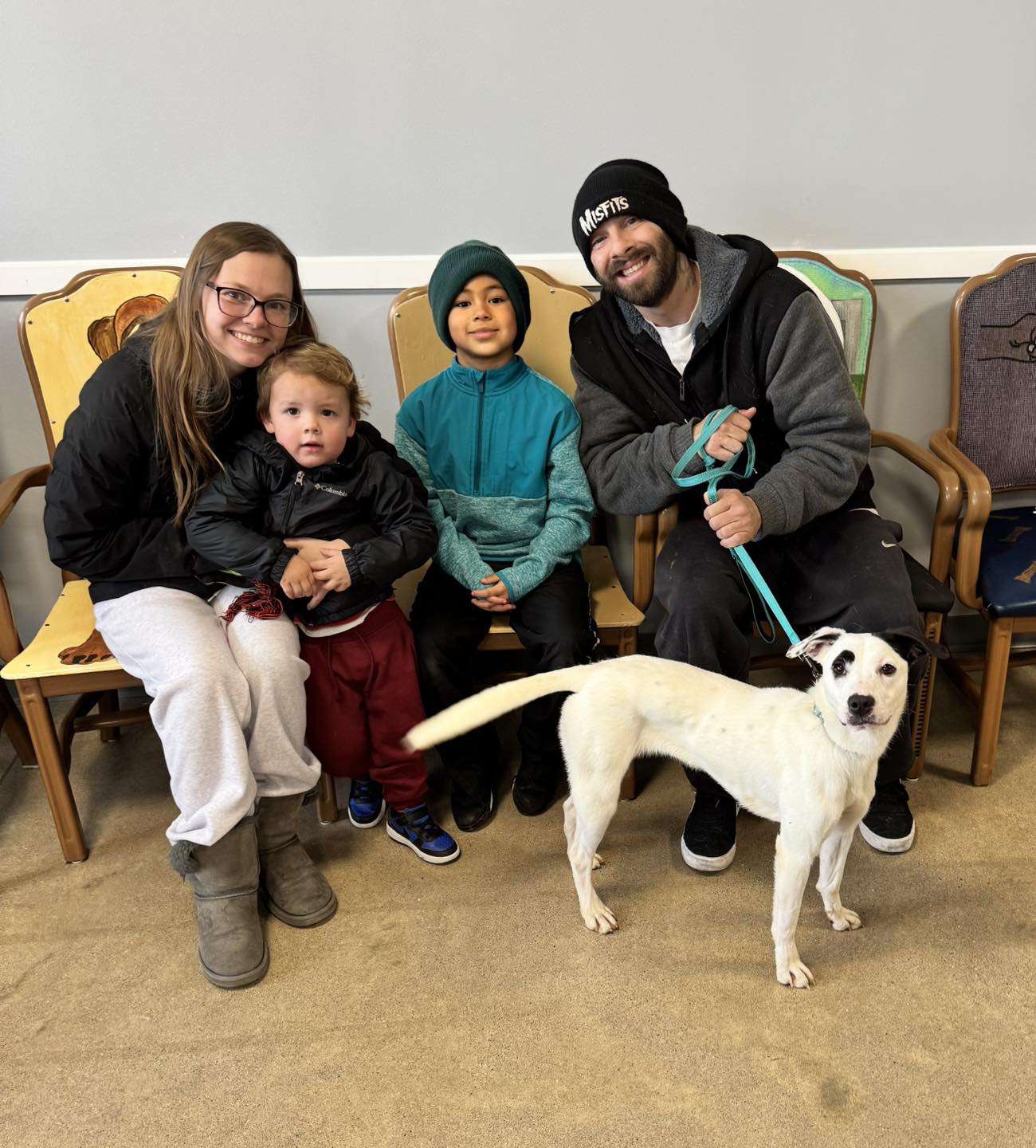 PAW - Well Wishes DO Come TRUE at Christmas Time! Meet Preeti’s New ...