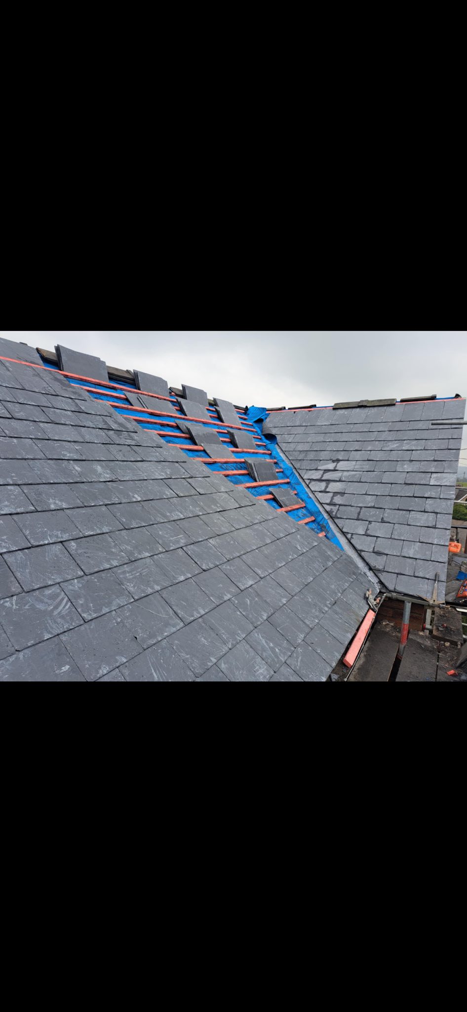 Dennis Healy Roofing | Mold