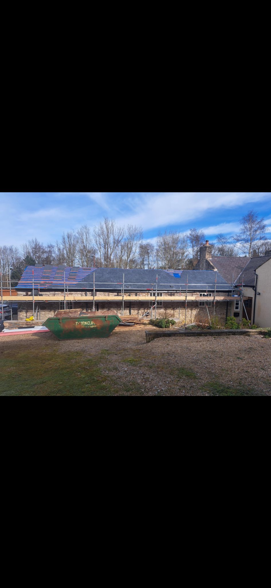 Dennis Healy Roofing | Mold
