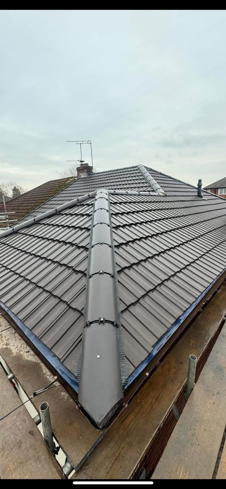 Dennis Healy Roofing | Mold